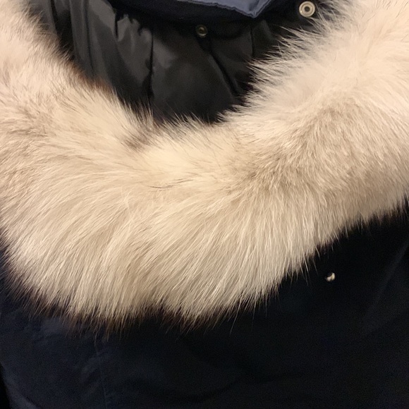 Moose Knuckle Parka (size: L) - Picture 6 of 11